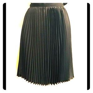 3 for $40 Jason Wu pleated skirt